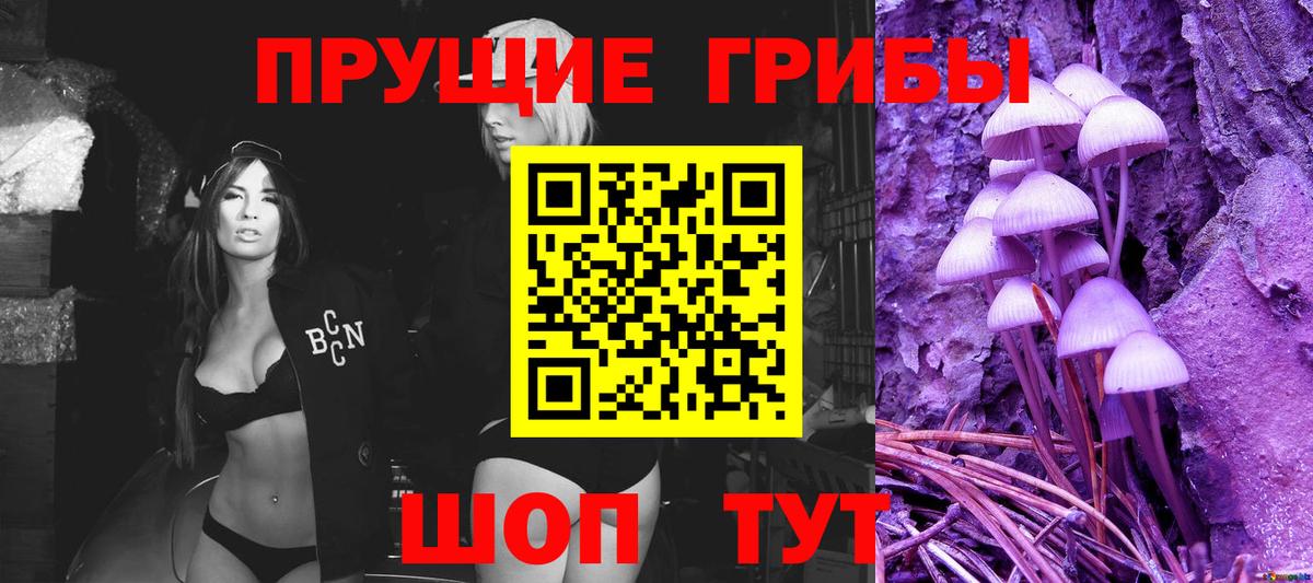 Медногорск  даркнет сайт  Псилоцибиновые грибы Magic Shrooms  Вход с VPN  Псилоцибиновые грибы мухоморы 