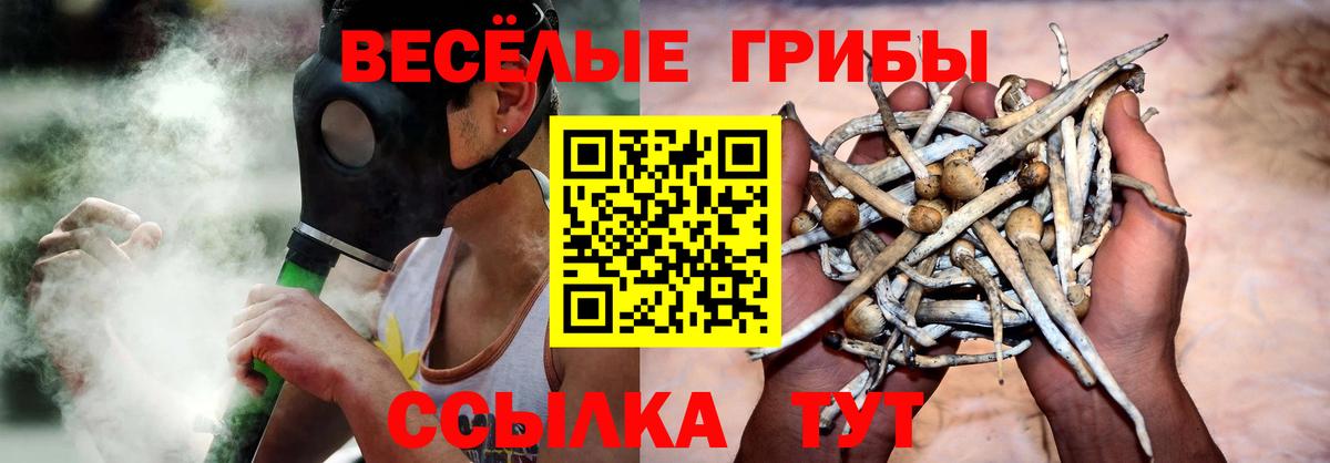 Псилоцибиновые грибы MAGIC MUSHROOMS Медногорск